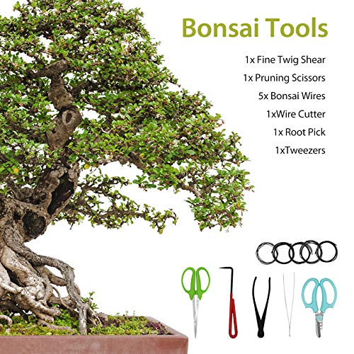 Bonsai Tools Set 11pcs Gardening Trimming Tools Set Bonsai Tree Tools Kit with Pruning Shears, Root Pick, Tweezers, Bonsai Wires, Wire Cutter and Scissors, Leather Bag for Garden Plant(11 PCS)