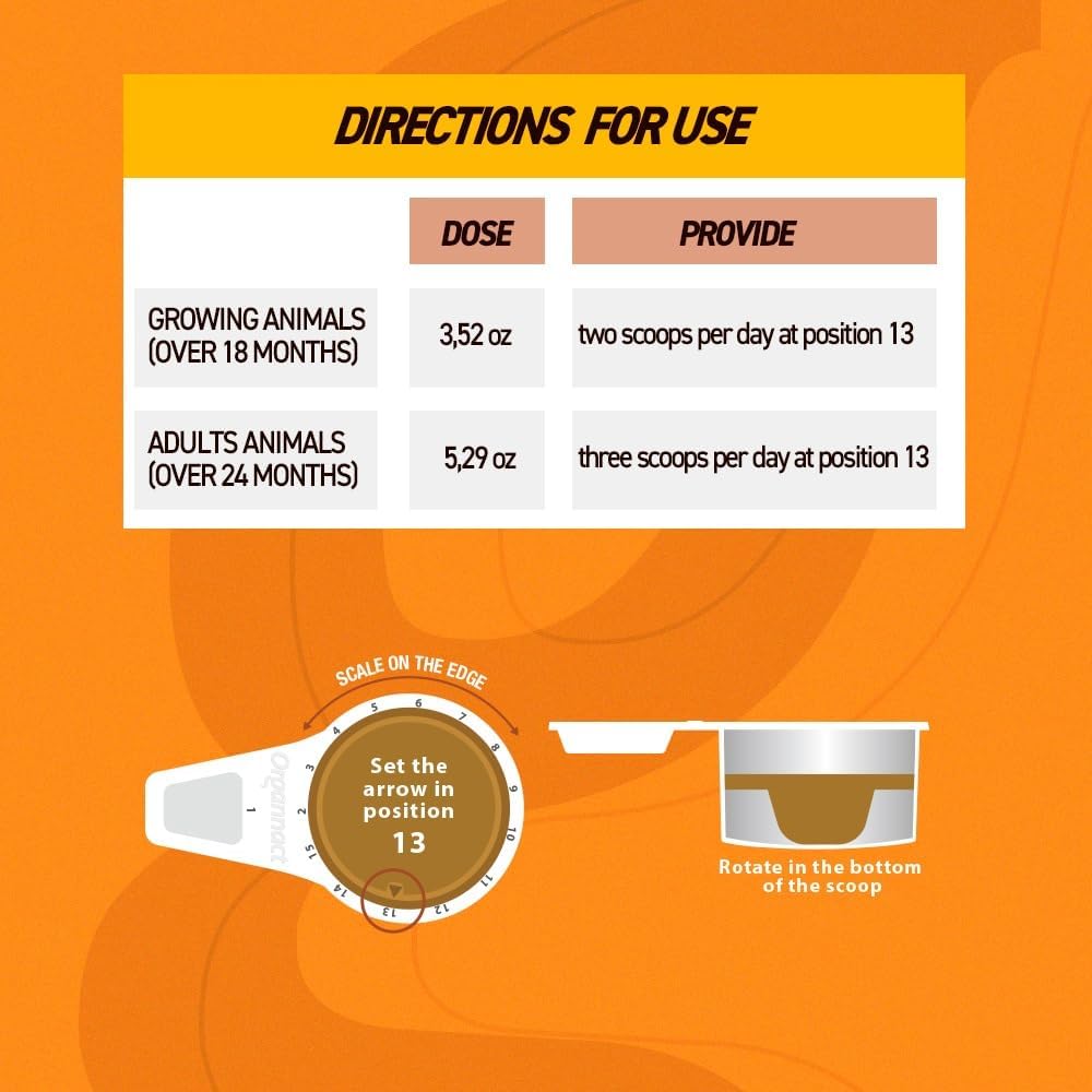 Organnact Muscle Horse Turbo - Equine Muscle Mass Gain Supplement - Contains Amino Acids, BCAAs, Prebiotics & Probiotics - Non-Doping, Green Apple Flavor - for Growing and Adult Horses (33 Lbs)