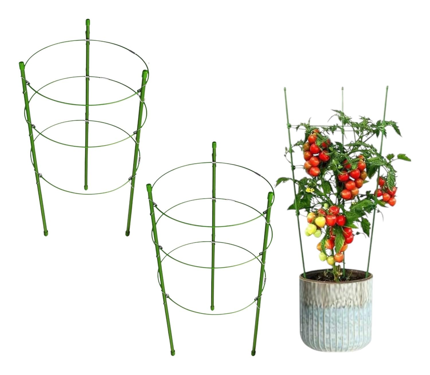 Garden Art Vegetable Trellis, Garden Plant Support Cages Stakes for Climbing Plants, Flowers, Fruits, Vine, Garden Trellis with 3 Adjustable Cable Ring | Pack of 2 | 60 cm Tall (B09MH96HNH) Amazon Price History, Amazon Price Tracker