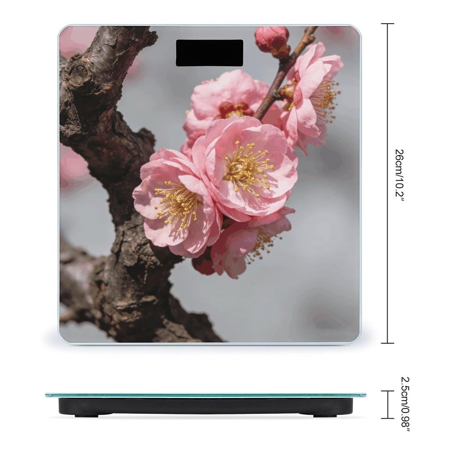 Blooming Plum Smart Scale for Body Weight Digital Bathroom Scale Toughened Glass Weight Scale with Large LCD Backlight Display High Precision Scales Weighing Machine