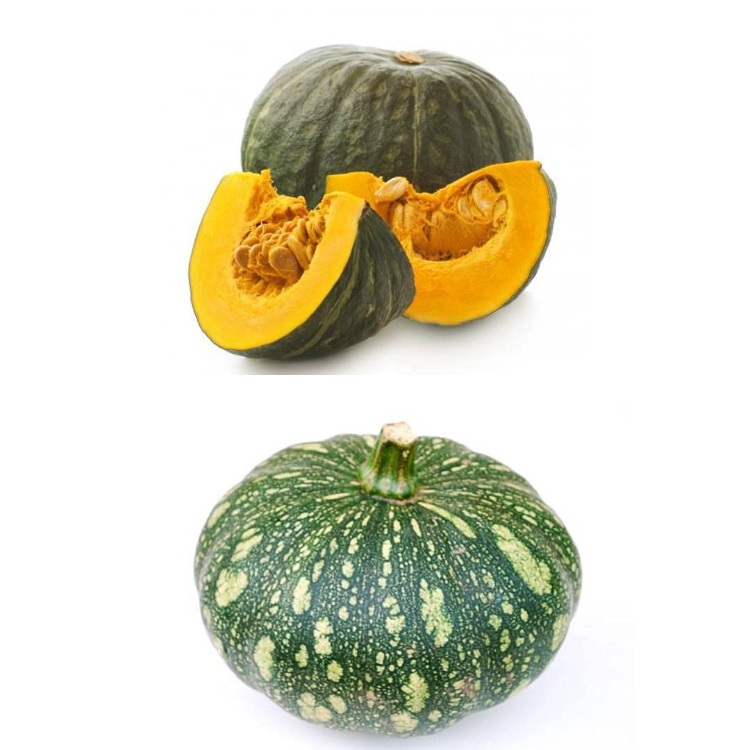 Navya Agriallied Desi Pumpkin Kaddu (10 Quantity) Vegetable Seeds for Home and Kitchen Garden (B099XCMDLN) Amazon Price History, Amazon Price Tracker