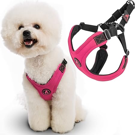 gooby easy fit harness