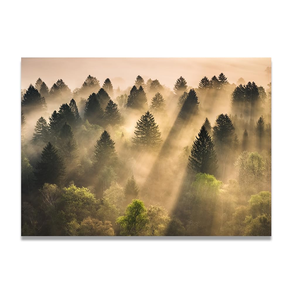 VHdfgTY Light PenetrationMountain Landscape Canvas Wall Art Nature Scenery Wall Decor for Home 50x70cm Unframed