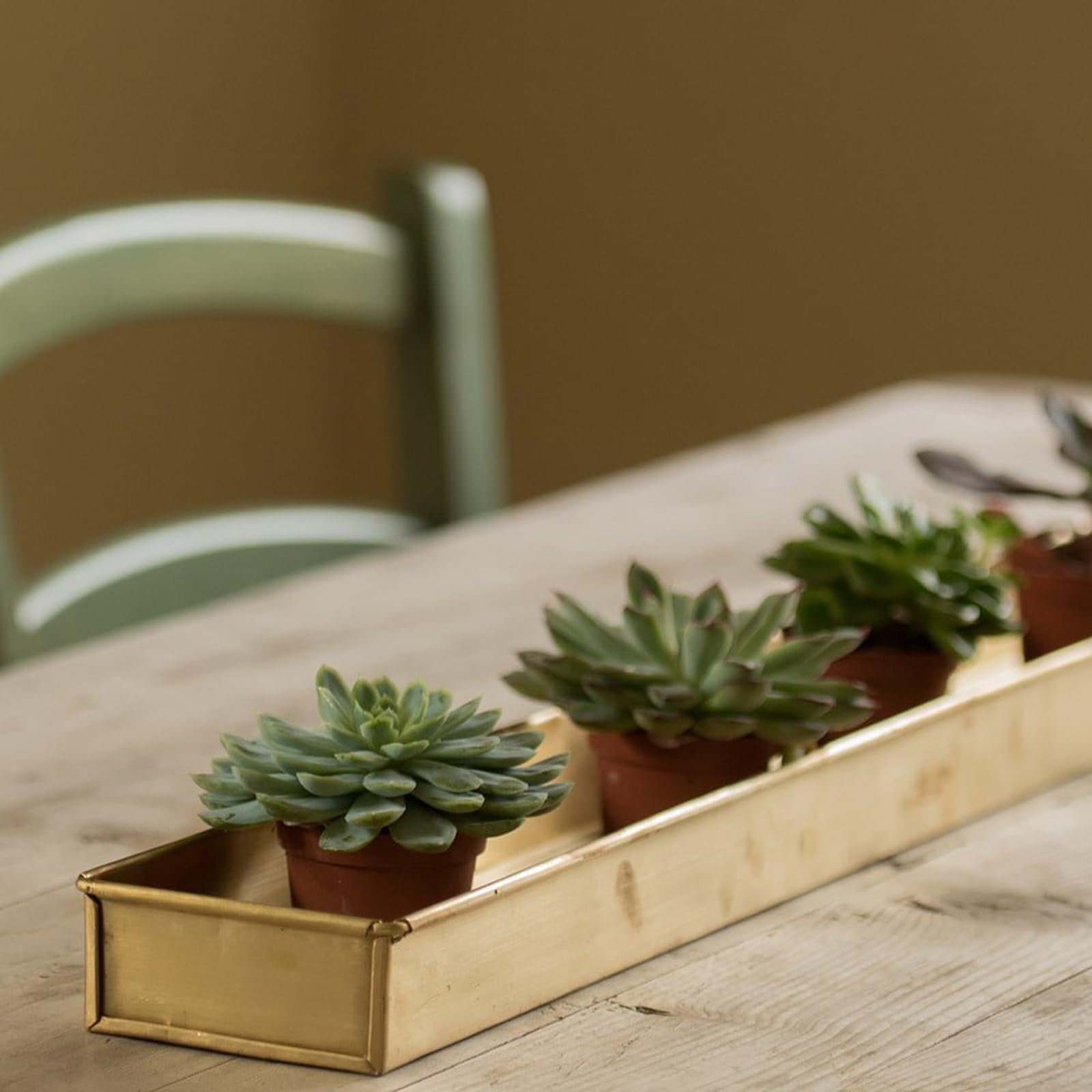 Crocus Collection 81cm Windowsill Planter Watering Drip Tray Saucer for Small Pots Brushed Brass