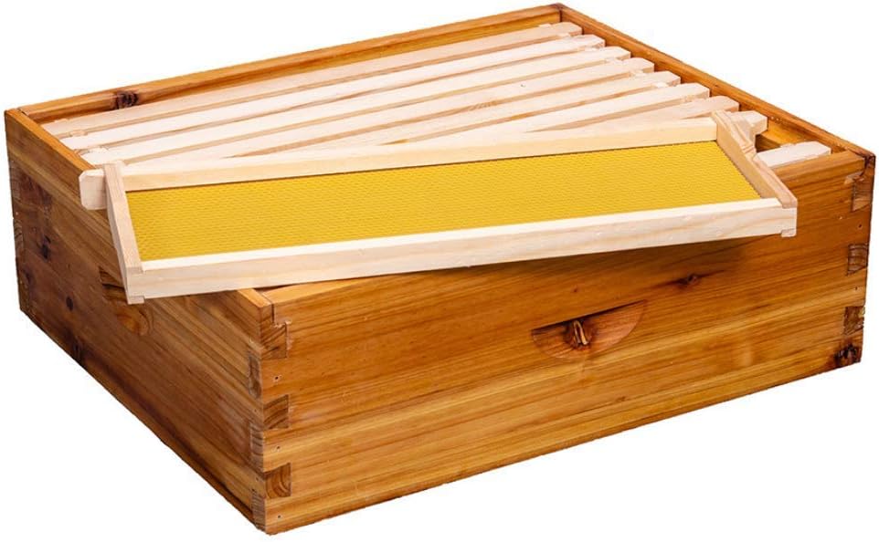 8-Frame Beehive Box Langstroth Medium Super Bee Box for Sale Wax Coated Bee Hives Includes Wooden Frames & Waxed Foundations (Unassembled) - Image 5