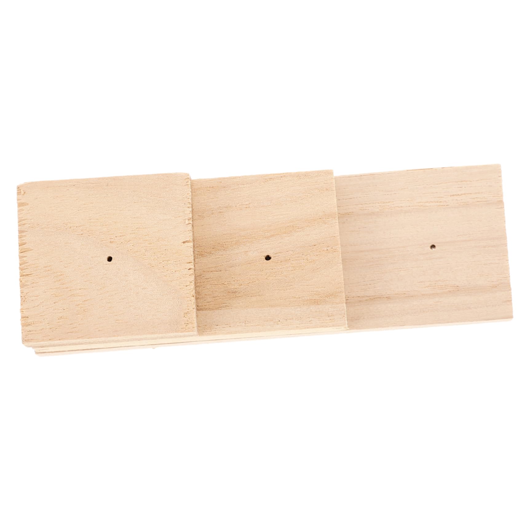 Alipis Butterflies Display Holder Large Wooden Specimen Display Stand Insect Pins