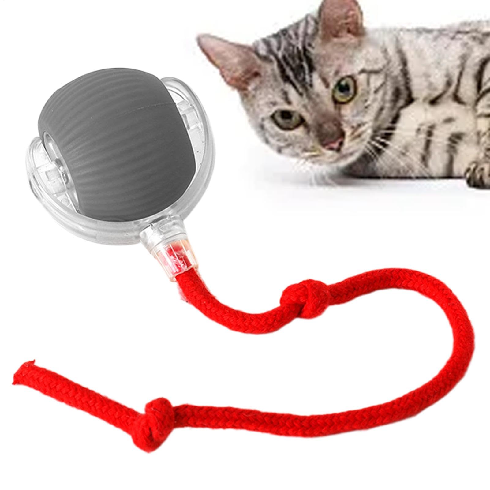 Interactive Cat Ball Toy, Active Rolling Ball For Dogs, Rechargeable Irregular Moving Toys, Smart Automatic Rolling Ball, Active Rolling Ball With Tail For Dogs, Large Small Cats & Dogs Pet Ball