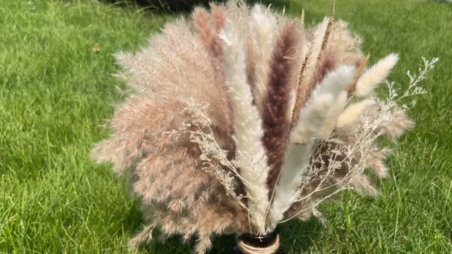 60 Pièces Fleurs Séchées Pampa - Décoration Boho Pour Maison, Mariage - Herbes, Roseaux, Fouets Naturels