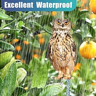 Kungfu Mall Owl to Keep Birds Away, 3 Pack Bird Scare Owl Fake Owl, Reflective Hanging Bird Decoration, Dual-Side Printed Owl to Keep Birds Pigeon Away from Patio Garden