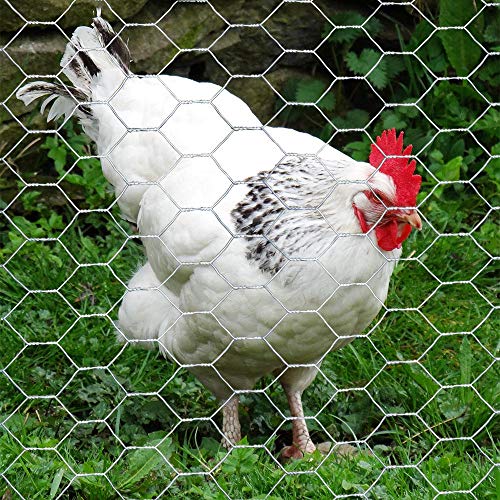 Mtb 20Ga Galvanized Hexagonal Poultry Netting Chicken Wire 18 Inches X 150 Feet X 1 Inch Mesh #TOP3