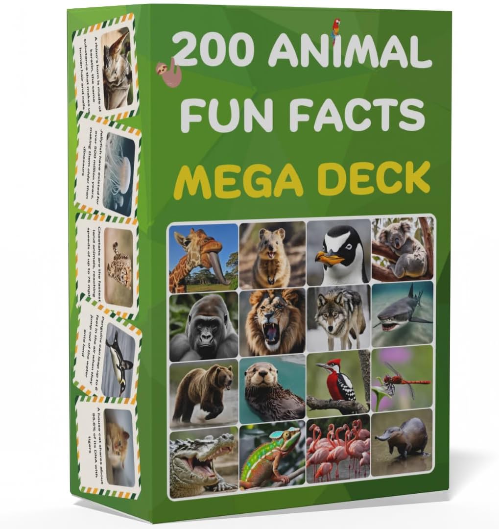200 Animal Fun Fact Cards – Fascinating, Educational Flash Cards for Kids | Lunchbox Notes, Homeschool, Classroom Activities, Travel + Bonus Printable 60 Space Fun Facts | Back to School & Gift Idea