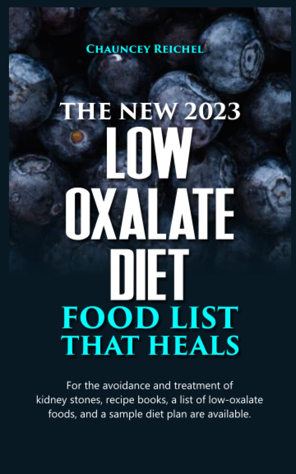Buy THE NEW 2023 LOW OXALATE DIET FOOD LIST THAT HEALS For the