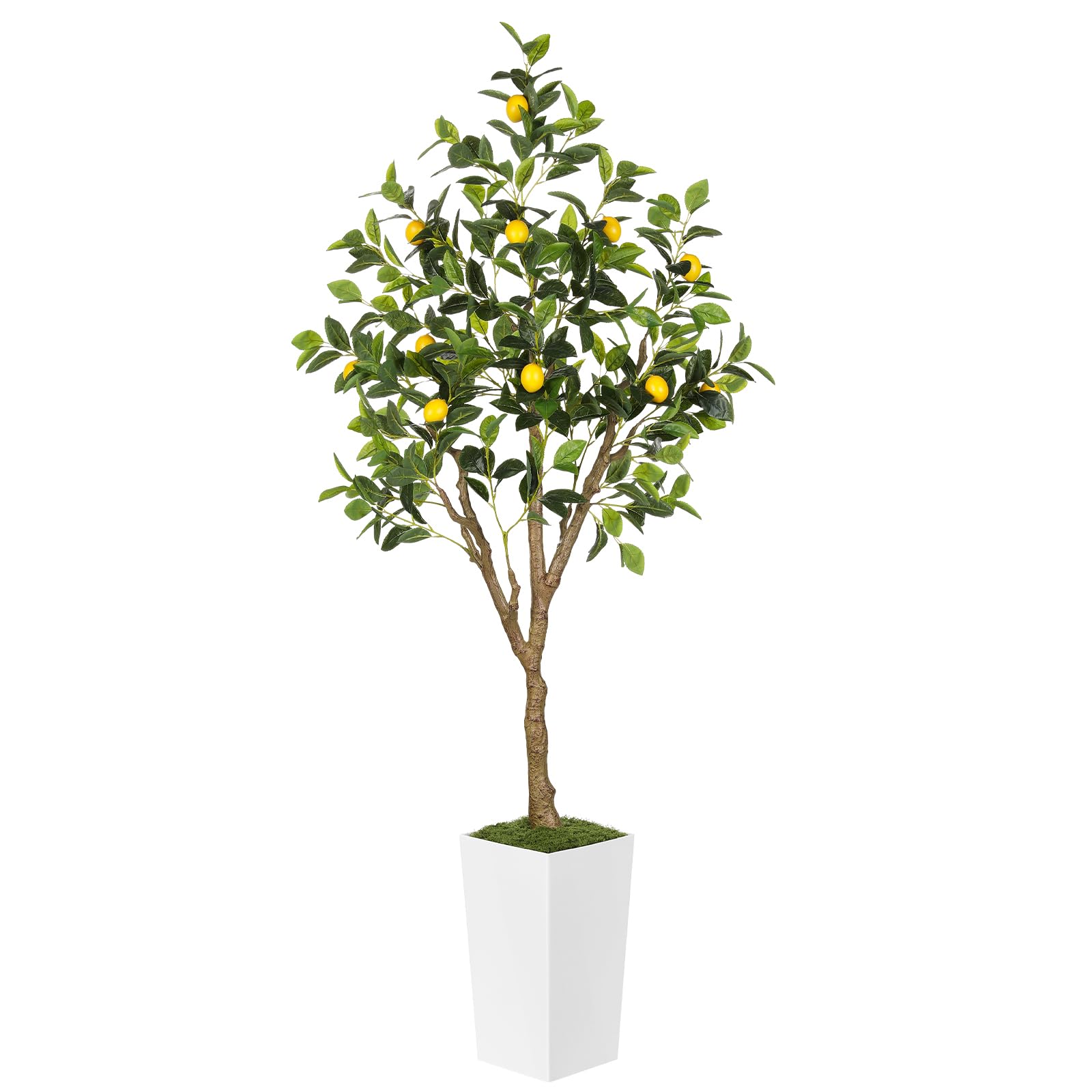 PHYTREE 6FT Artificial Lemon Tree
