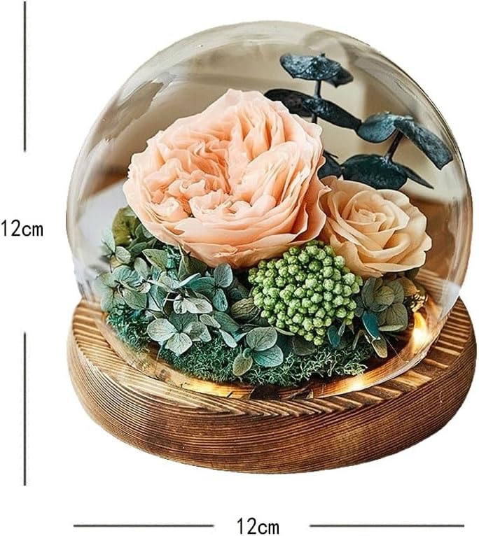 Dry Flower Bouquet Decoration, eternals Gift Box, Glass Cover, Valentine's Day Birthday for Girlfriend