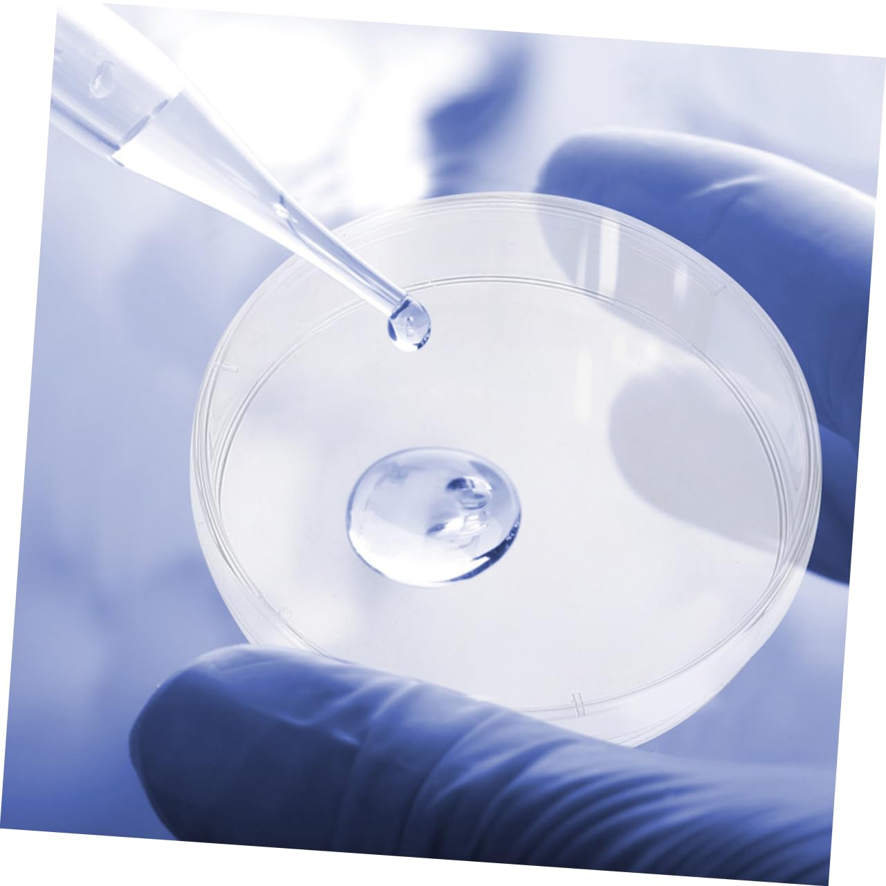 Mobestech 50pezzi Piastre Di Coltura Plastica Con Coperchio Piastre Petri Trasparenti Per Esperimenti Scientifici e Coltura Cellulare Per Laboratori e Insegnamento