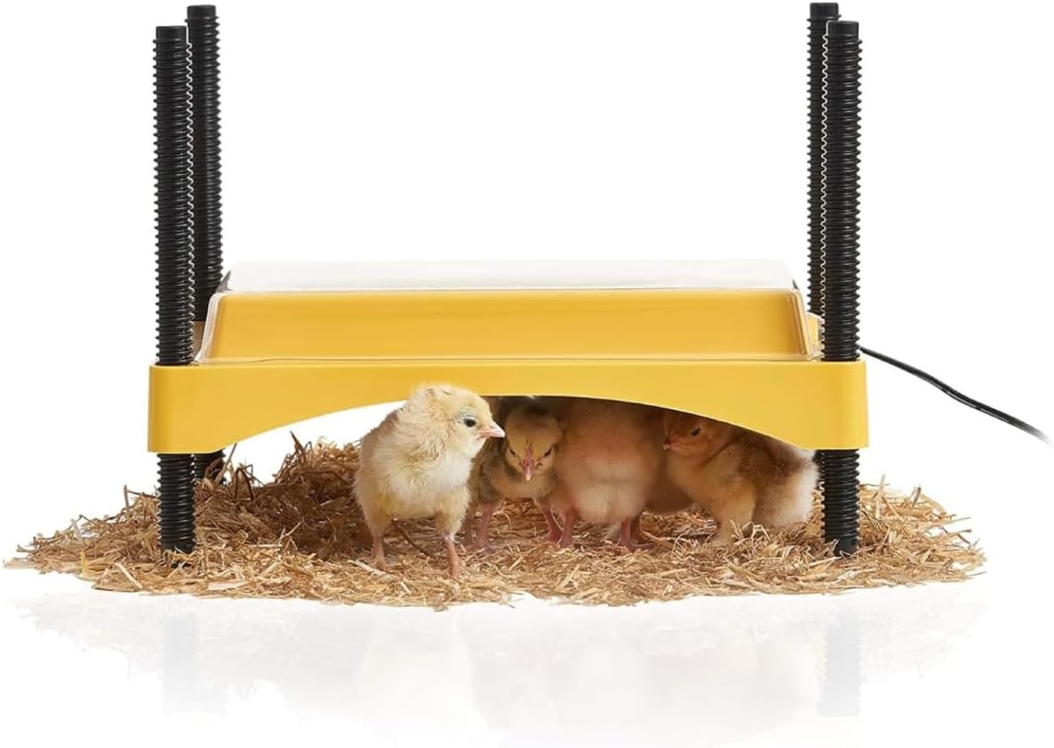 Ecoglow Safety 600 Brooder Plate for up to 20 Chicks - Energy Efficient 12 Watt Heat Plate for Ducklings and Poultry - Adjustable Low Voltage Design
