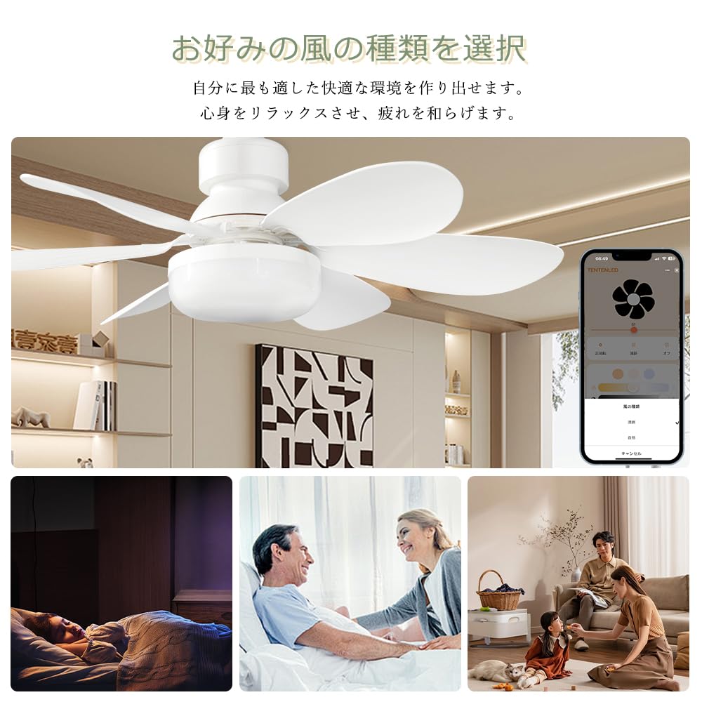 Amazon | シーリングファンライト 6畳 8畳 ファン付きシーリングライト