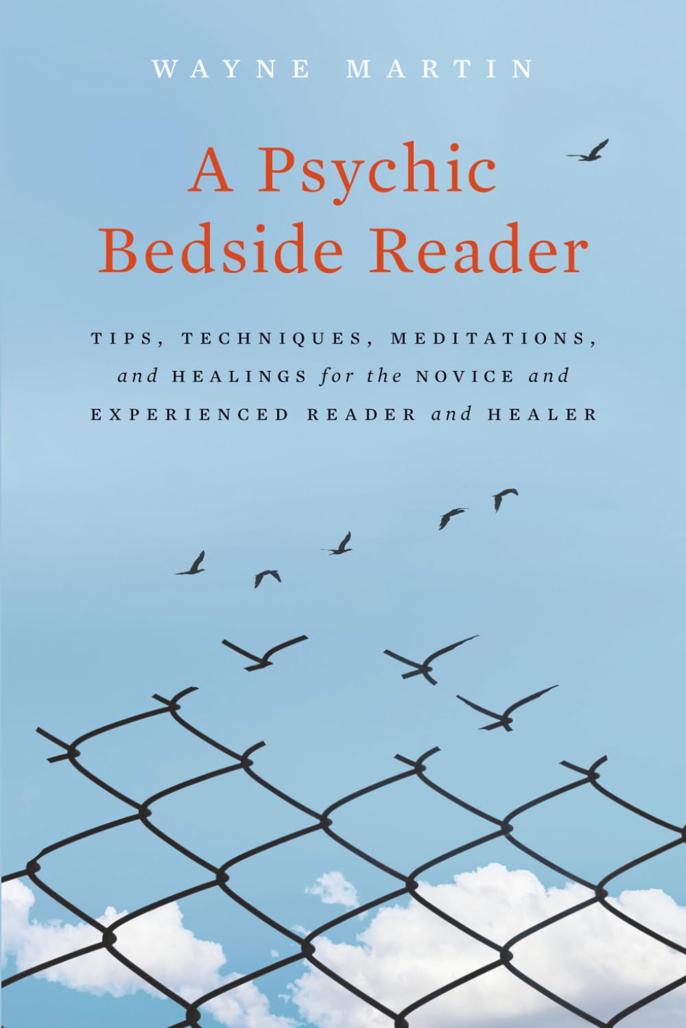 A Psychic Bedside Reader: Tips, Techniques, Meditations, and Healings for the Novice and Experienced Reader and Healer