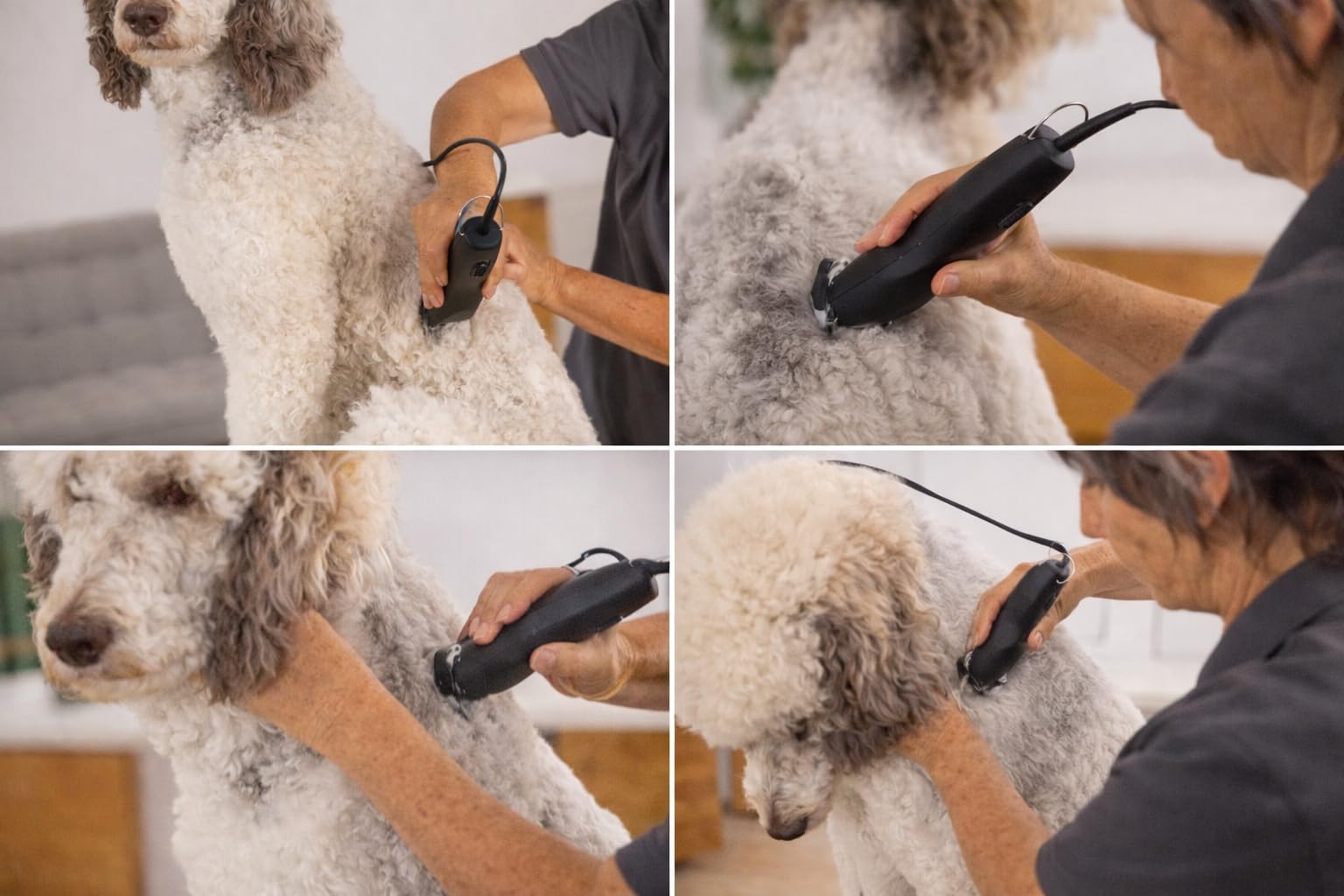 Rotschopf24 Max 50+ Hundeschermaschine + Tasche & 2 Metallaufsätze (6+13mm)