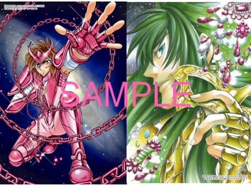 Amazon 聖闘士星矢w アニメ記念フェア 特製両面イラストカード おもちゃ おもちゃ