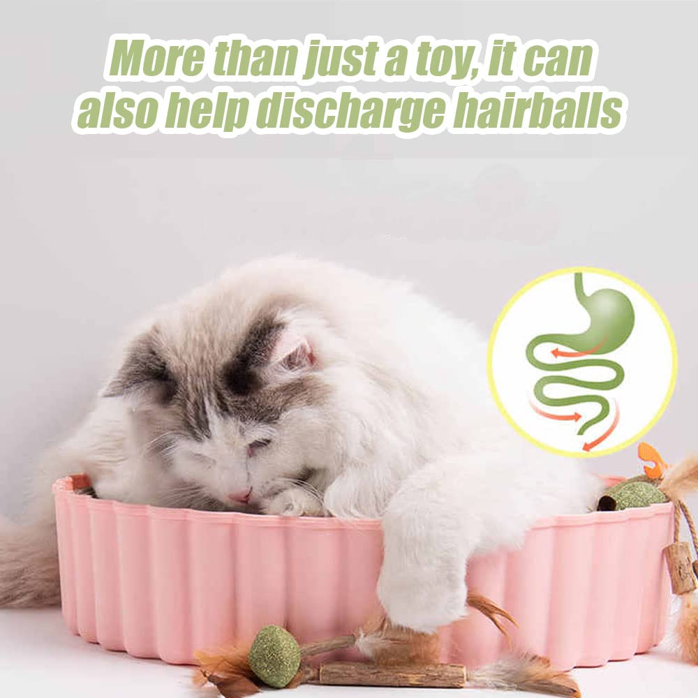 Diyxisk Giocattoli Gattino In 3 Pezzi, Giocattoli Catnip Per Gatti, Palline Di Catnip Interattive Con Bastoncini E Piume Per Lavarsi I Denti, Giocattoli Per Gatti, Gattini