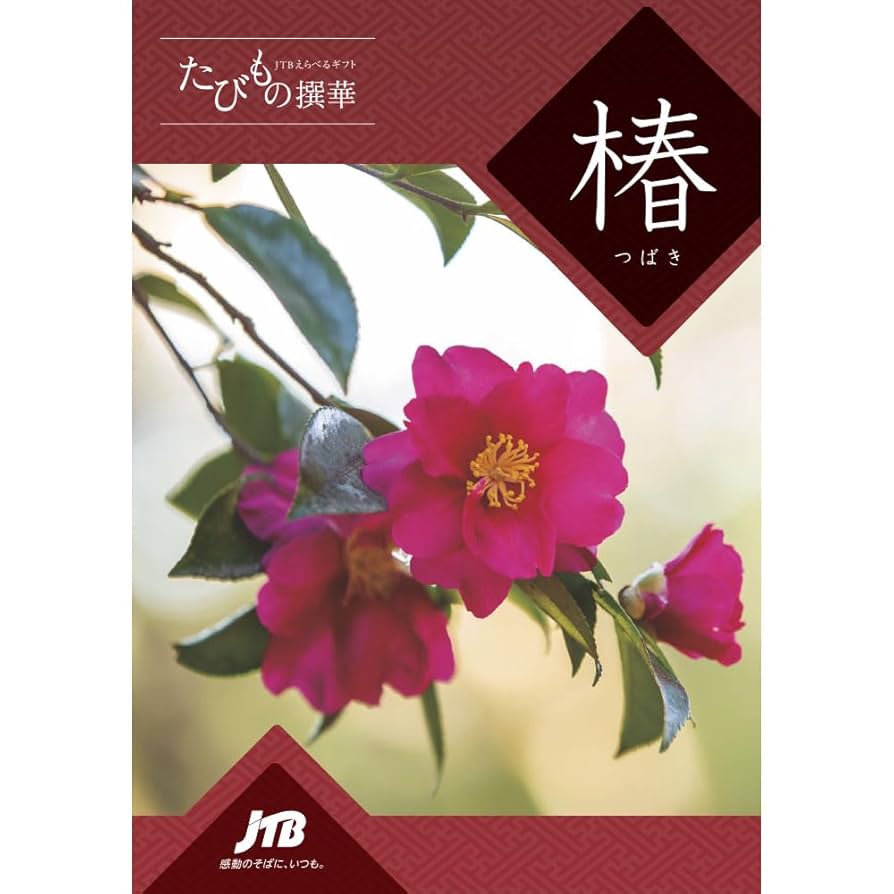 Amazon｜JTB カタログギフト たびもの撰華 旅・体験 10600円