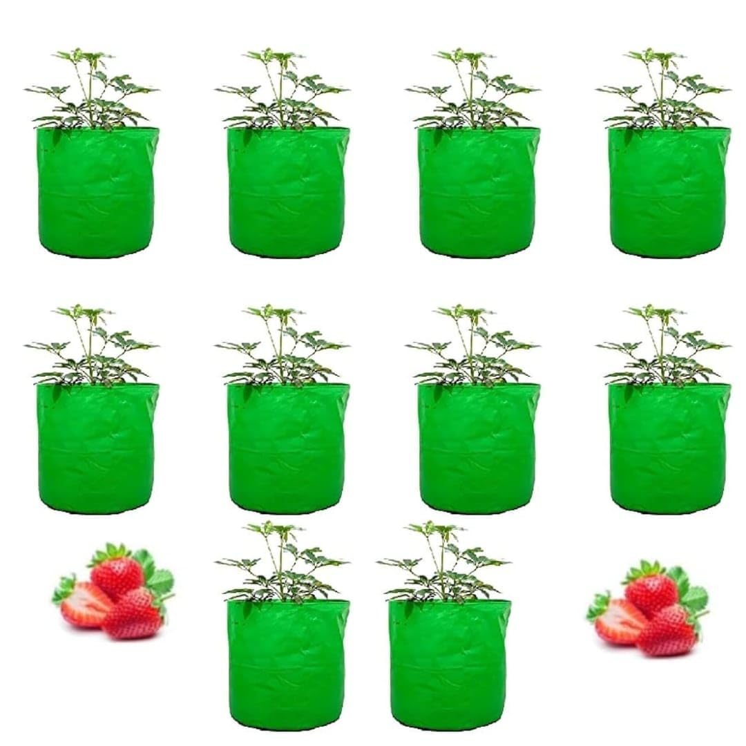 See full amazon price history chart for ANAND GREEN Premium Hdpe Uv Protected 260 GSM Round Shaped Green Colour Plants Grow Bags Suitable for Terrace and Vegetable Gardening (12x12, Pack of 10 ANAND GREEN Premium Hdpe Uv Protected 260 GSM Round Shaped Green Colour Plants Grow Bags Suitable for Terrace and Vegetable Gardening (12x12, Pack of 10 (B0D4JJV8DT) Amazon Price History, Amazon Price Tracker