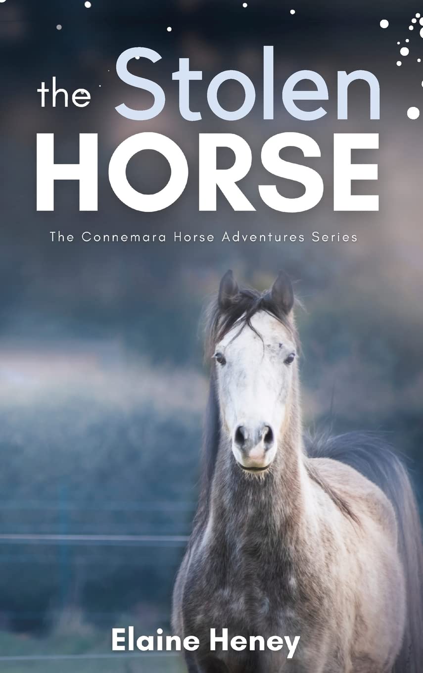 The Stolen Horse - Book 4 in the Connemara Horse Adventure Series for Kids | The Perfect Gift for Children (Connemara Pony Adventures)