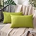 MIULEE Lot de 2 Taie d'oreiller Extérieure Imperméable en Polyester Doux avec Surface Hydrofugfe Housse de Coussin de Jardin Décoratif pour Salon Chambre 30x50CM Vert Jaune