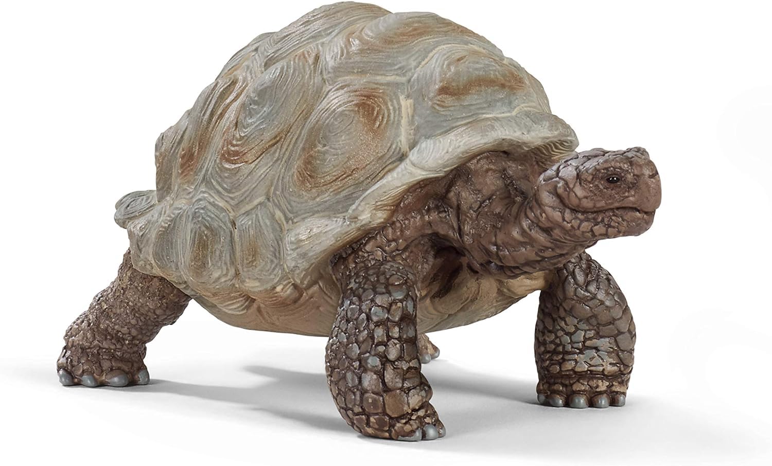SCHLEICHWILD LIFE 14824 Realistische, Exotische Galapagosschildkröte - Tiere Riesenschildkröte - Wilde Tiere Figuren Sets für Phantasievolles Spiel für Kinder Alter 3+