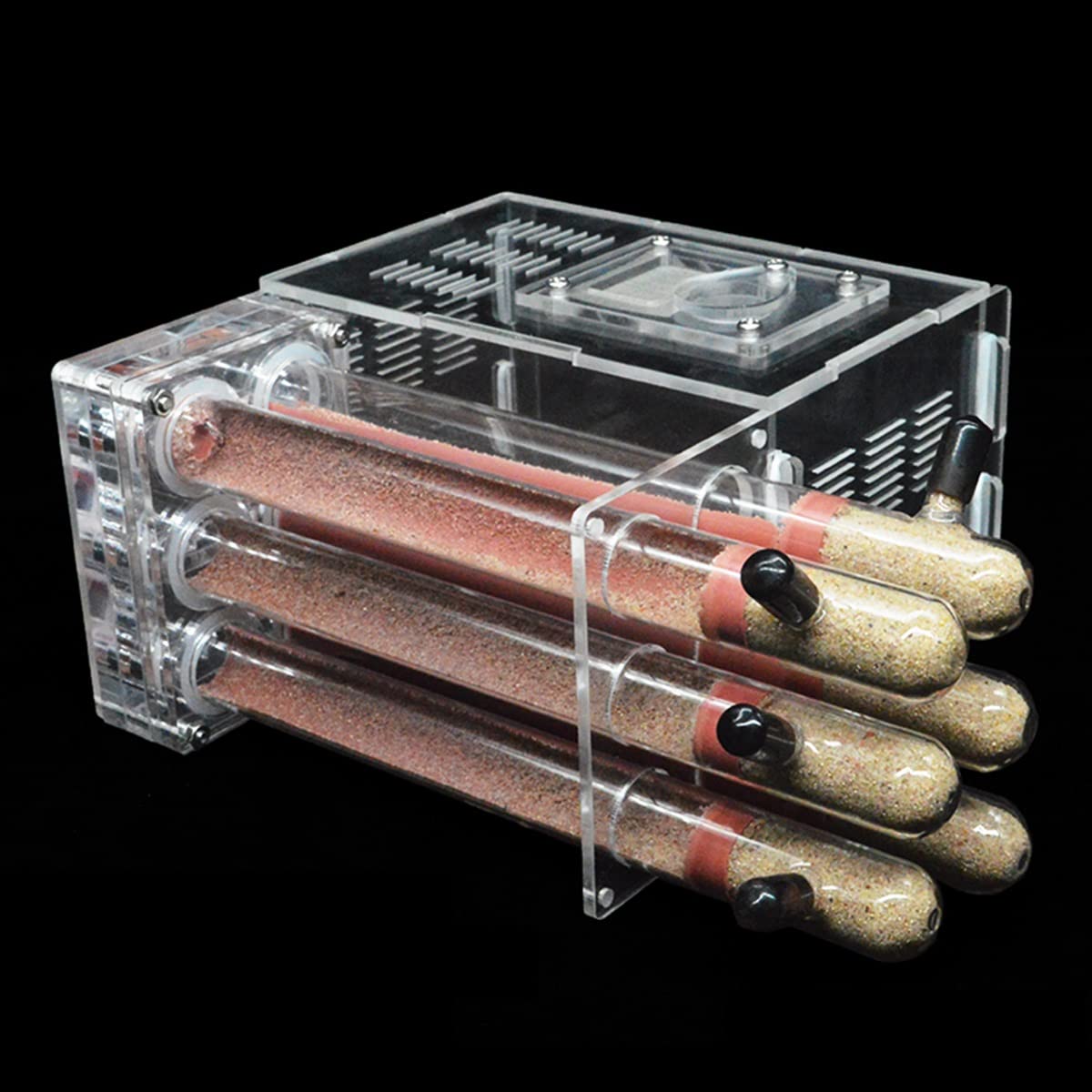 Formicario per formiche, Formica acrilica. Con 6 provette Razza Regina. Kit educativo 15x14,5x8,5 cm
