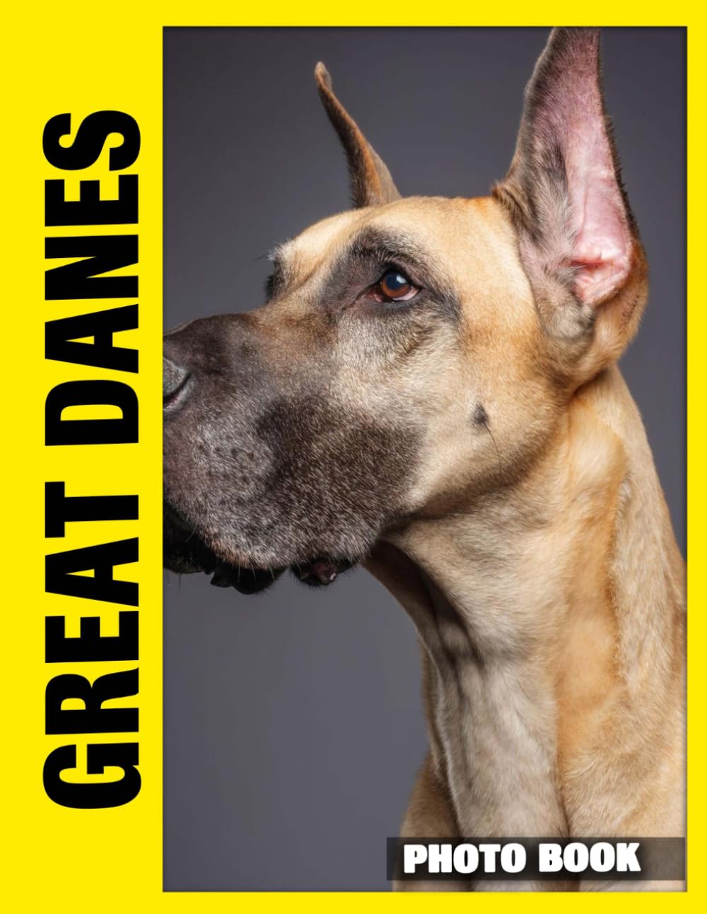 Great Danes Photo Book: Gentle Giants Portrait Gallery Featuring Majestic Canines In Graceful Poses And Loving Family Settings