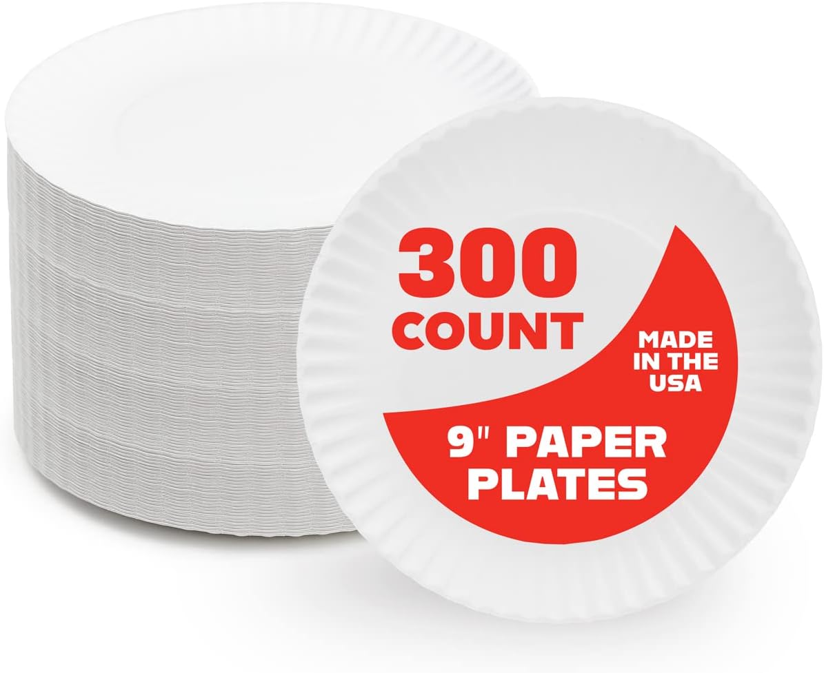 Hygloss Products 9″ Uncoated White Paper Plates Bulk, 9 Inch, 300 pack, Disposable Plates For Food, Dessert Or Crafts