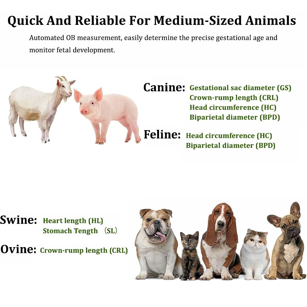 Analizzatore veterinario portatile ad ultrasuoni con sonda 3.5MHz, display a LED da 5,6 pollici per rilevazione di gravidanza in bestiame e animali domestici