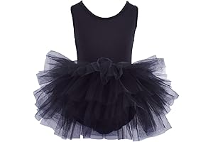 Toddler Dance Tutu: Embroidered Camisole Leotard with Fluffy 4-Layer Ballet Dress