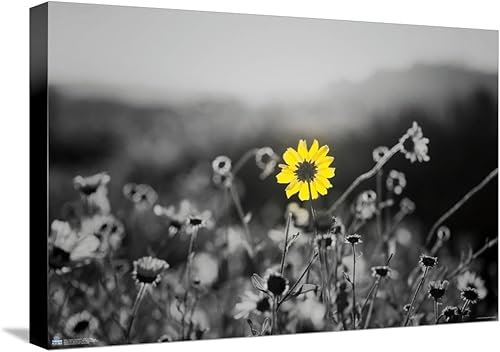 Miniatura 5 de Trends International Joseph S Giacalone - A Bit Of Yellow Canvas Wall Poster