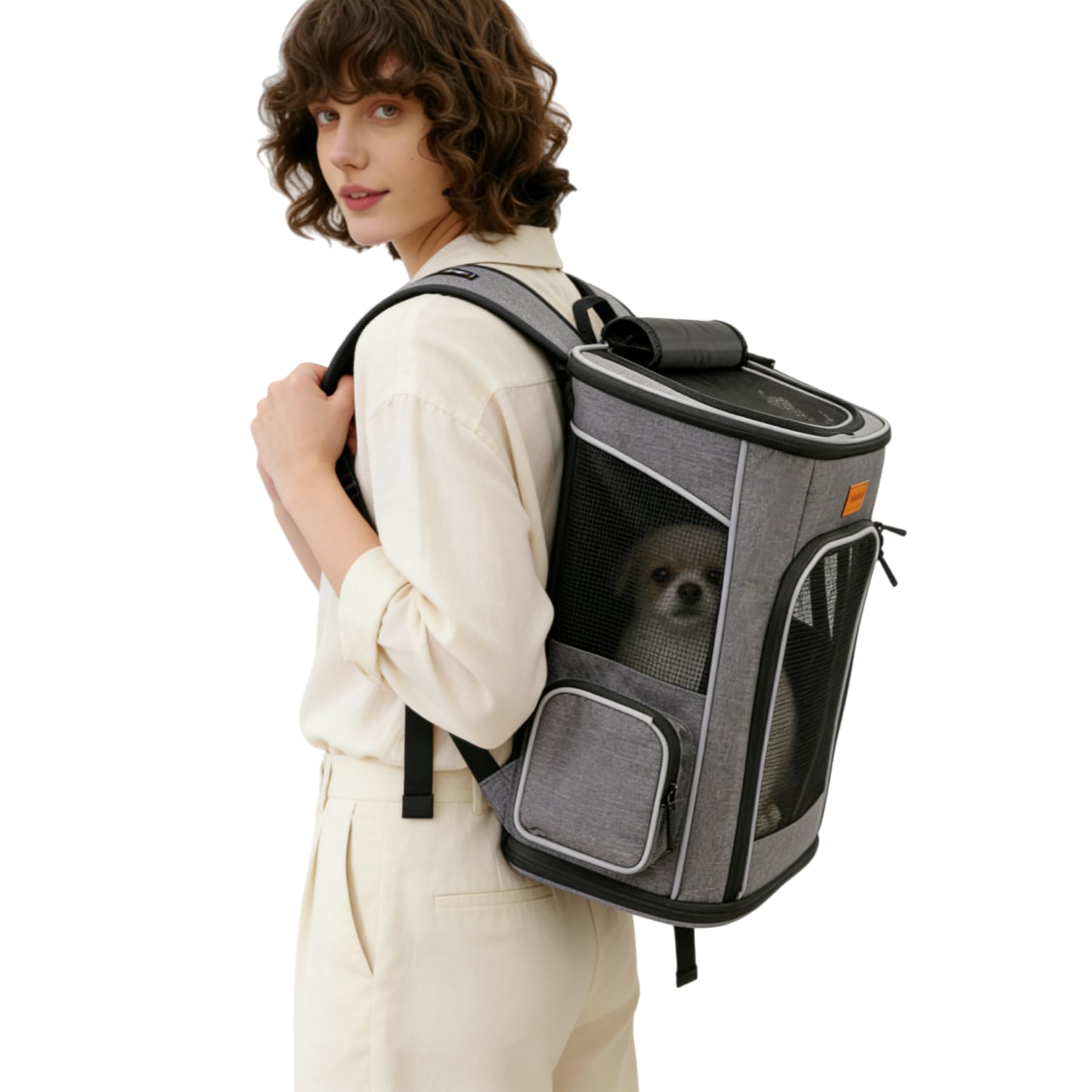 morpilot Mochila Transportín Perro, Mochila Transportín Gato Bien Ventilado con Correa de Seguridad Interior, Bolsa de Transporte para para Gatos y Perros Pequeños (32 x 28 x 42 cm) Gris,Claro