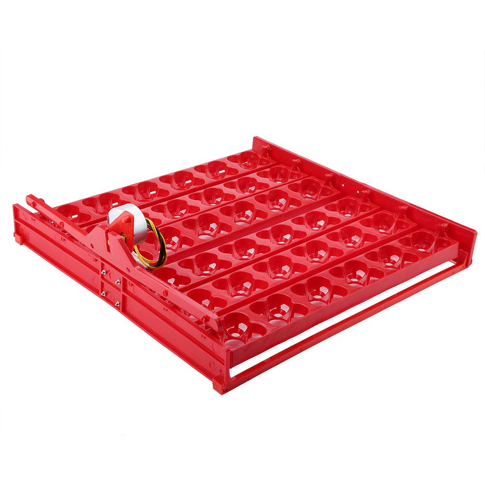Tyenaza Bandeja Volteo Incubadora, 36 huevos/144 incubadora de Huevos de Pollo Incubadora Automática Pato Codornices Aves Aves de Corral Bandeja de al Incubadora de Huevos(43 x 41,7 x 5,2 cm)