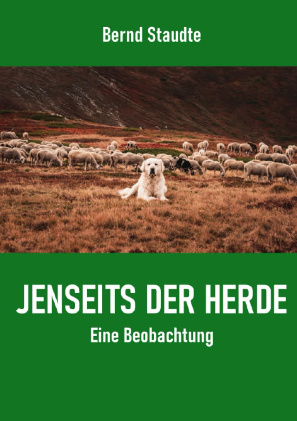 Jenseits der Herde: Eine Beobachtung