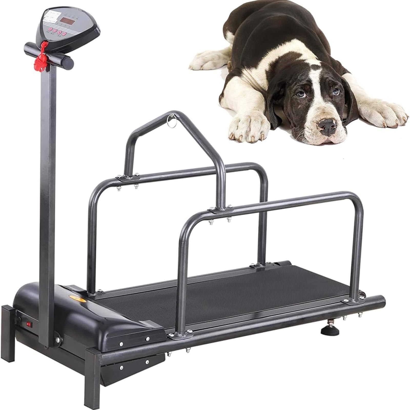 Bieżnia dla psa, Trener biegania dla psów, Bieżnia dla zwierząt z wyświetlaczem LCD, Zakres prędkości 0,8-6 km/h do treningu Black