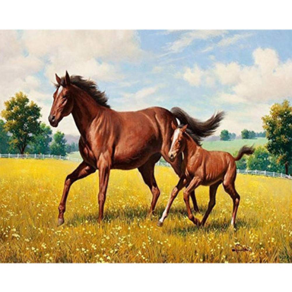Mosaïque kit broderie diamant 5D cheval sauvage pour évacuer le stress