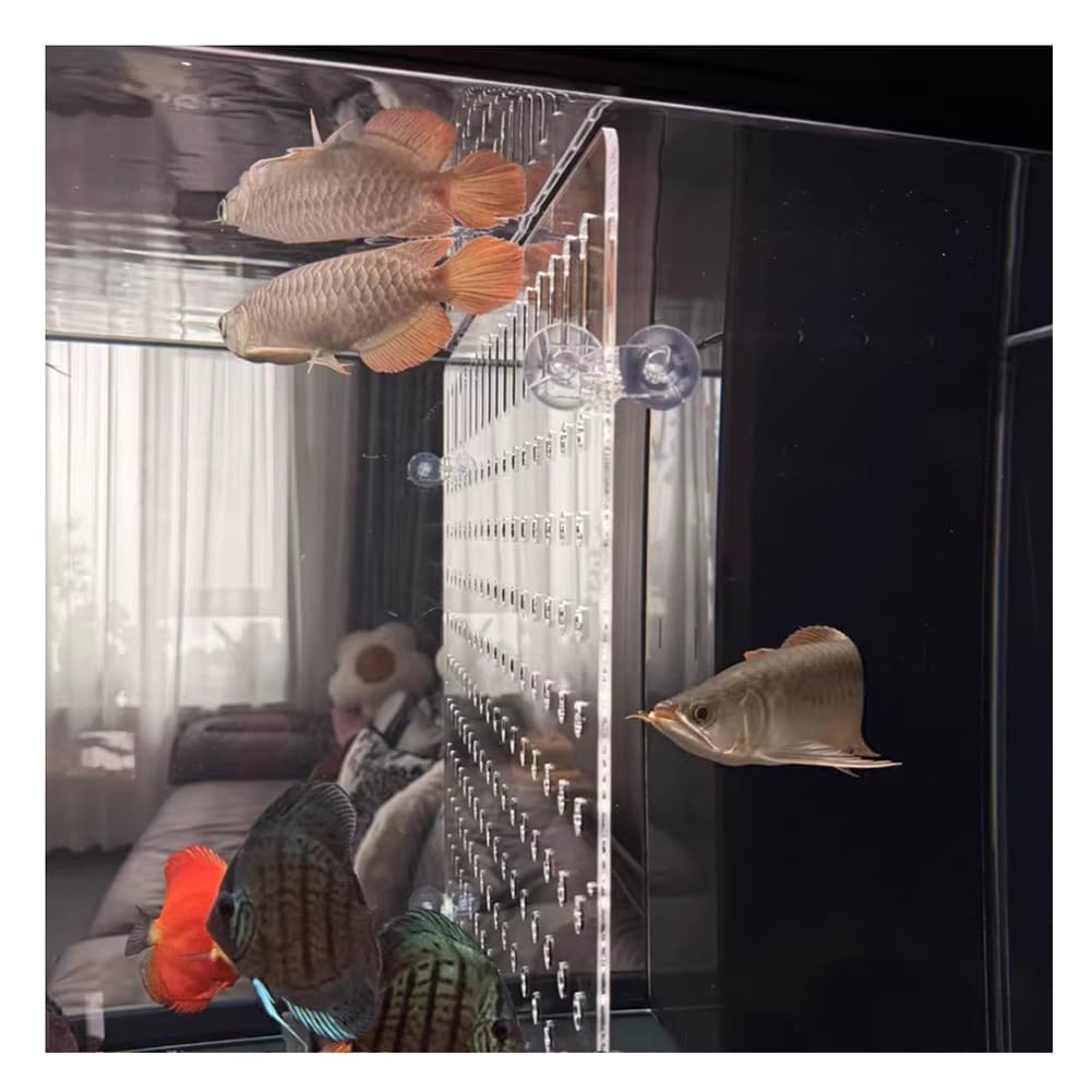 Rygcrud Séparateurs pour Aquariums, Épaisseur 5mm Panneau en Acrylique avec Ventouses, Plaque De Séparation Transparente Cache pour Séparateur Destiné Aux Combats, pour Diviser l'espace(30x50cm)