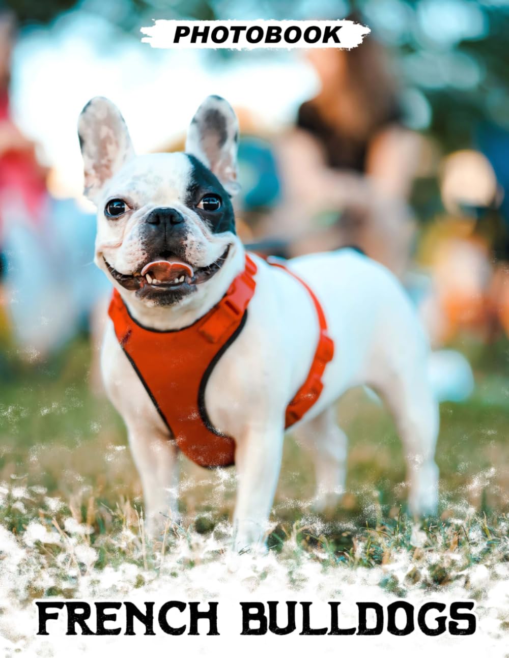French Bulldogs Photo Book: Small Bully Breed Images Featuring Wrinkled Faces And Playful Companion Moments In Pet Photography