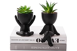 Succulents Office Decor for Women and Men | Human-shaped Pot Indoor Plant