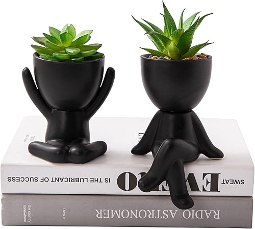 VENY TAYA 2 plantas artificiales únicas para decoración de oficina para mujeres y hombres, pequeñas plantas falsas con macetas en forma de humano,
