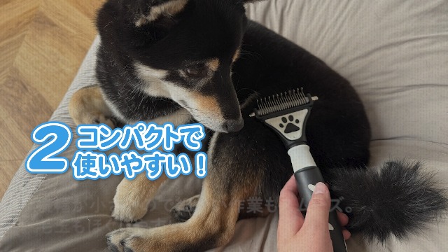 Amazon.co.jp: Pukyia 抜け毛ブラシ 痛くない 毛とりブラシ ペット用