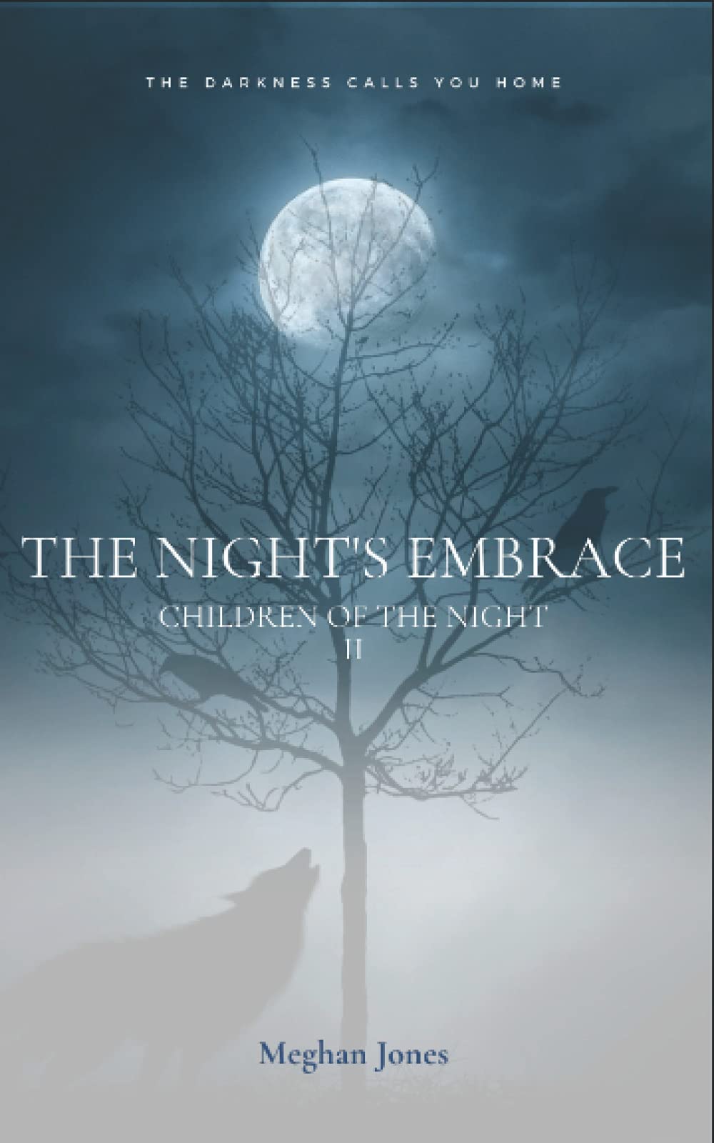 The Night's Embrace (Children of the Night)