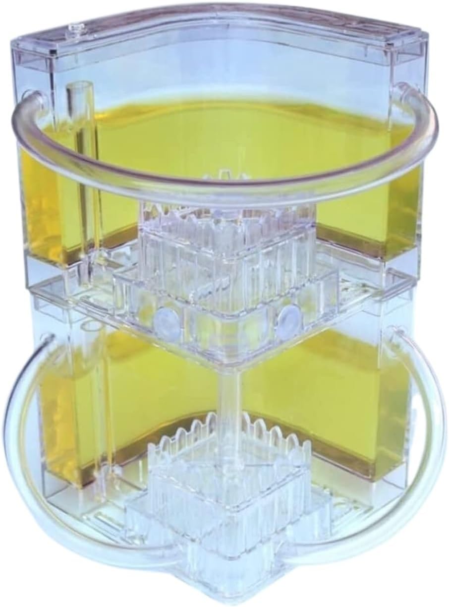 Ant Farm Ant Castle Habitat Farm Ideas Nest Watch Ants Dig Their Own House Tunnels Habitat(Yellow)