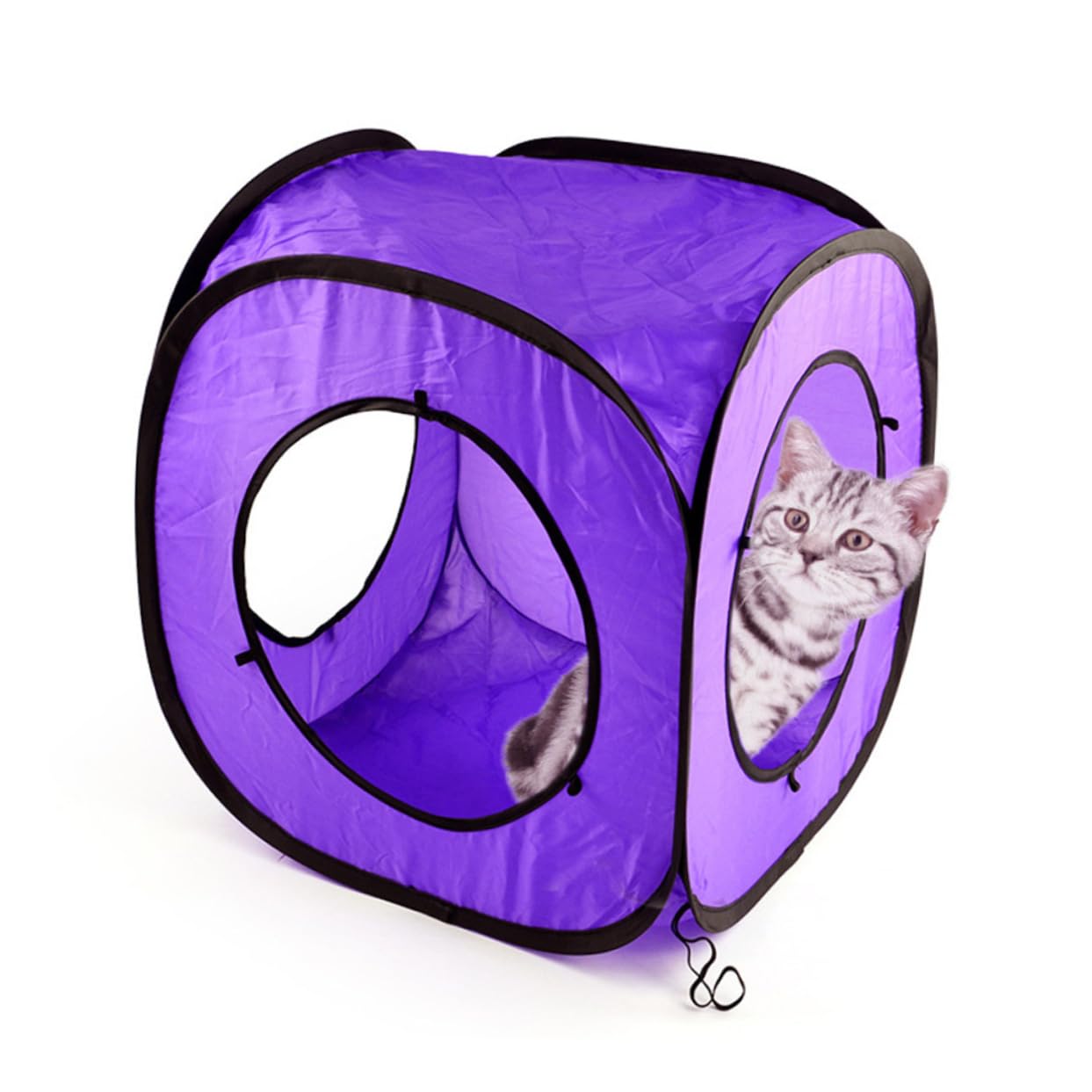 Katzentunnel Spielzeug 3 Stück, Faltbar, Polyester, Violett