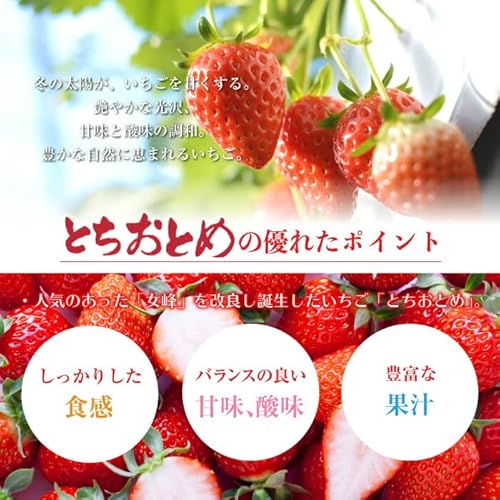 いちごのおすすめ12選 甘い種類は 高級いちごもご紹介 マイナビおすすめナビ